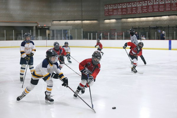 Reasons Why Hockey Is One of the Best Sports in the World 2 img