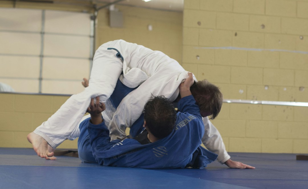 What Is Jiu-Jitsu? 2 img