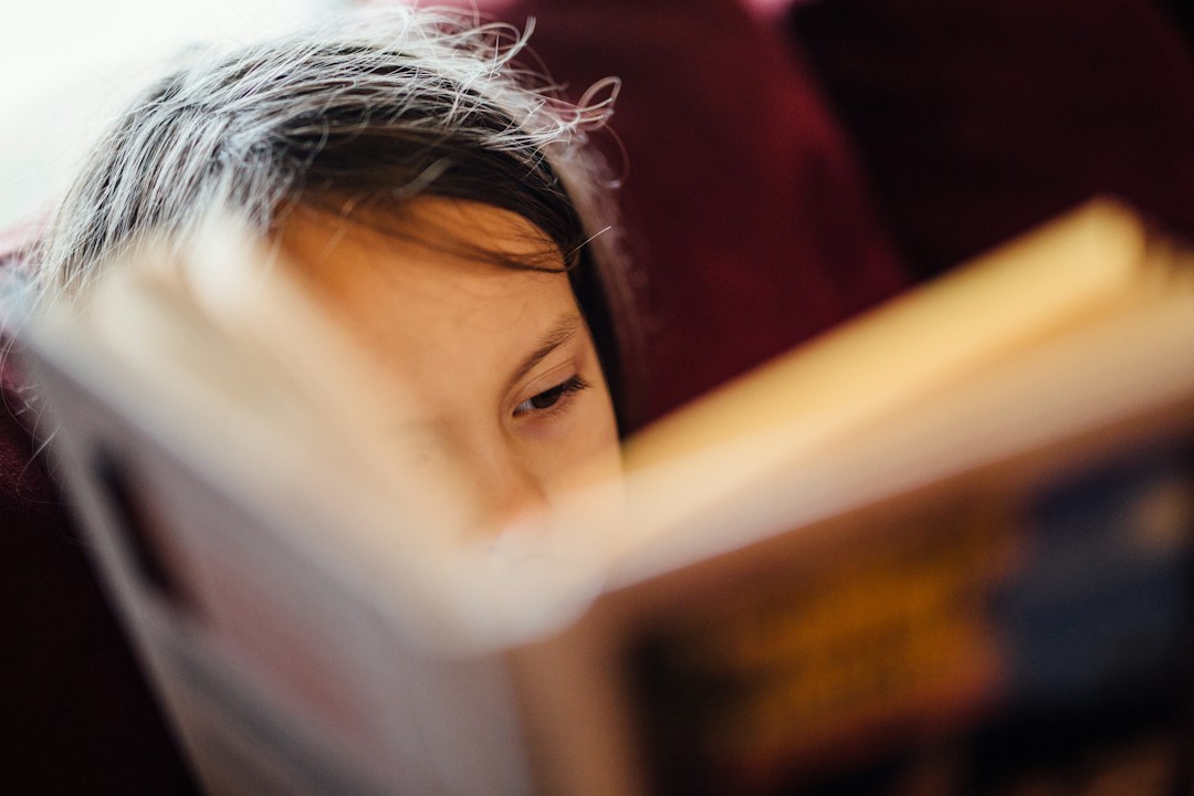 Your Guide To Reading the Diary of a Wimpy Kid Books in Order 1 img