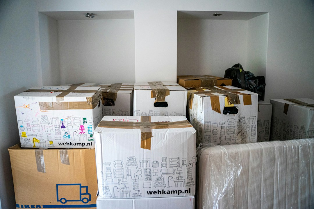 How To Make the Moving Process Easier and Faster 2 img