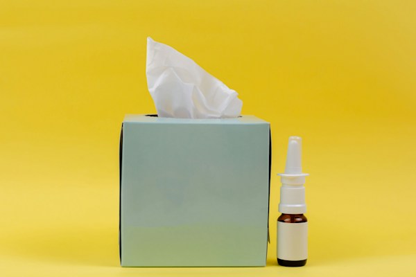 What Are the Best Ways To Avoid Allergies in Houston? 1 img