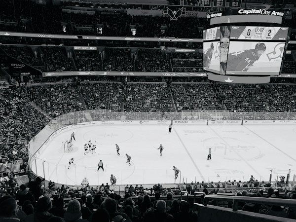 Reasons Why Hockey Is One of the Best Sports in the World 1 img